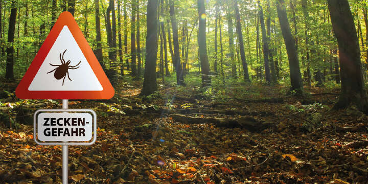 zeckenfrei hinweis wald landflair saisonaler tipp  1000x500